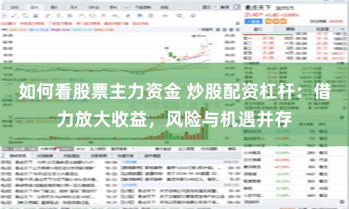 如何看股票主力资金 炒股配资杠杆：借力放大收益，风险与机遇并存