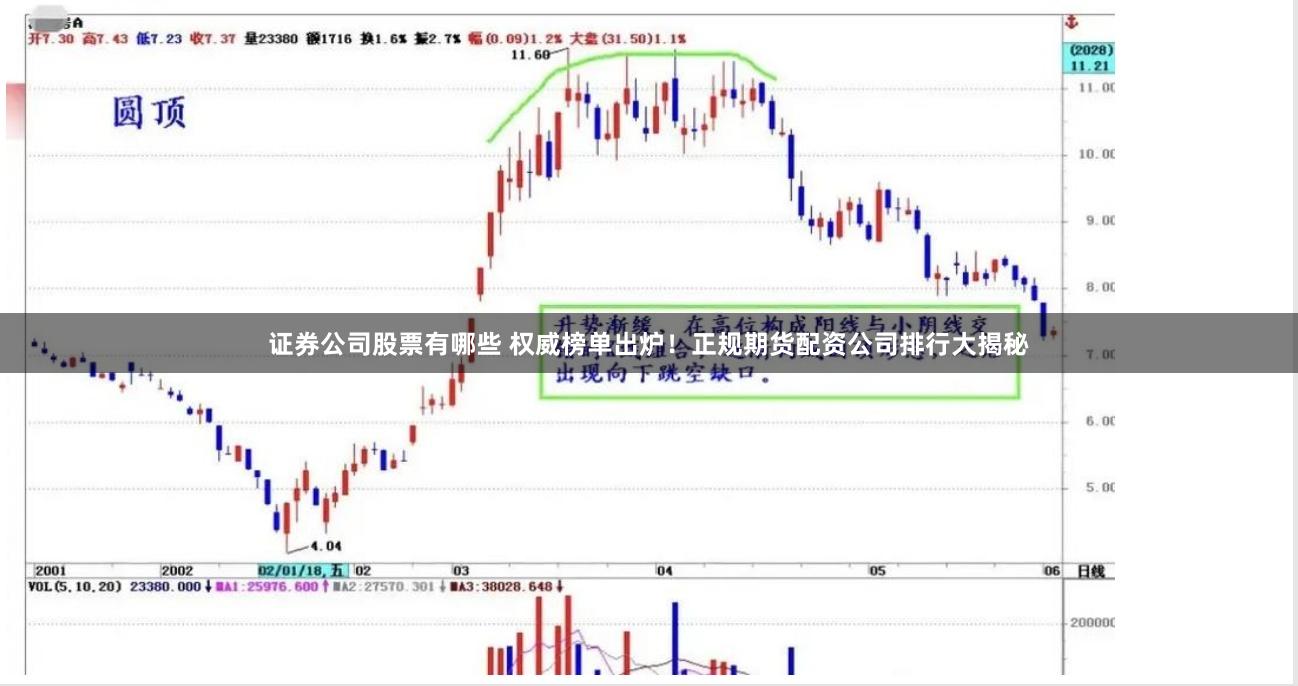 证券公司股票有哪些 权威榜单出炉！正规期货配资公司排行大揭秘