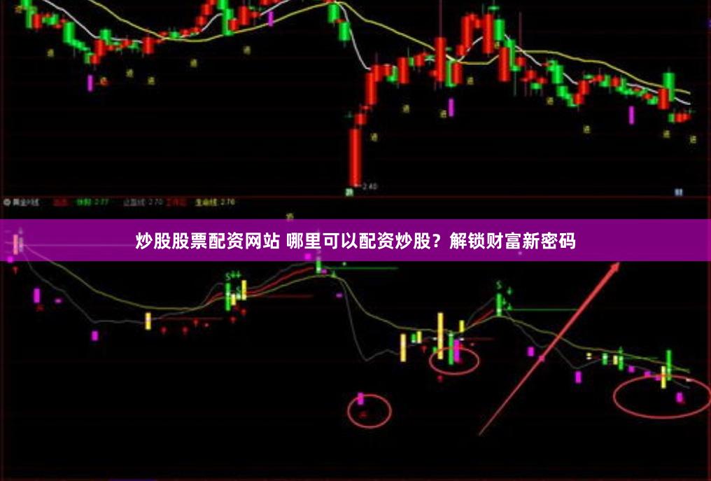 炒股股票配资网站 哪里可以配资炒股？解锁财富新密码