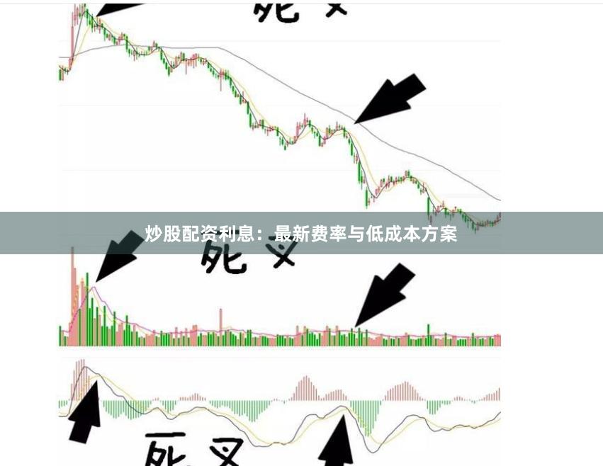 炒股配资利息：最新费率与低成本方案